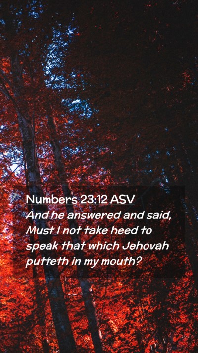 Picture 02 - Numbers 23:12 ASV Mobile Phone Wallpaper - And he answered and said, Must I not take heed to - Mobile Bible Verse Wallpaper