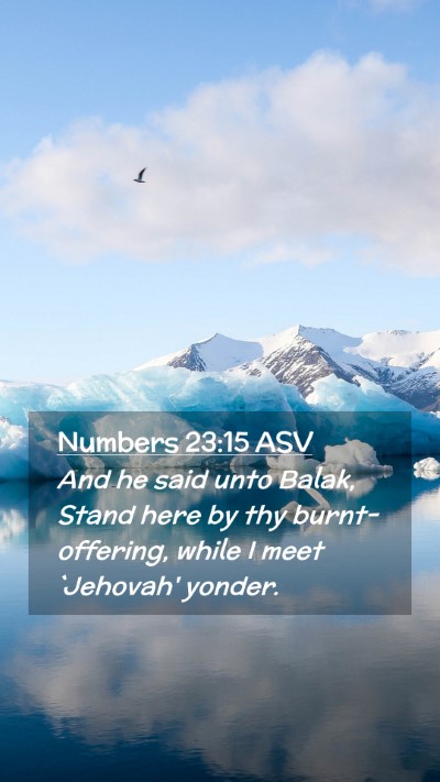 Picture 02 - Numbers 23:15 ASV Mobile Phone Wallpaper - And he said unto Balak, Stand here by thy - Mobile Bible Verse Wallpaper