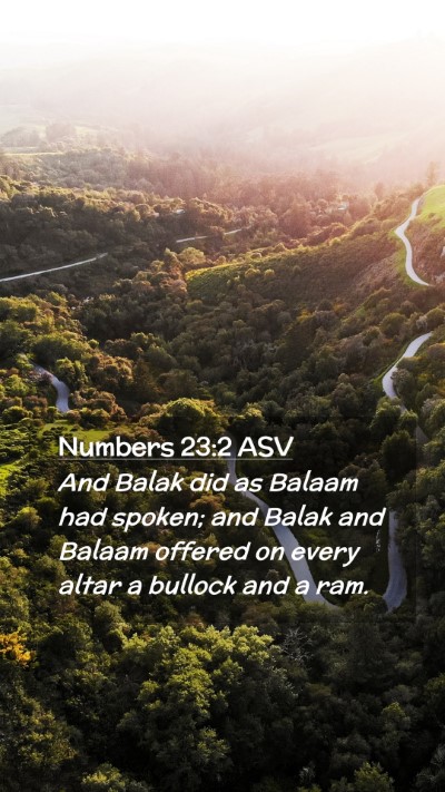 Picture 02 - Numbers 23:2 ASV Mobile Phone Wallpaper - And Balak did as Balaam had spoken; and Balak and - Mobile Bible Verse Wallpaper