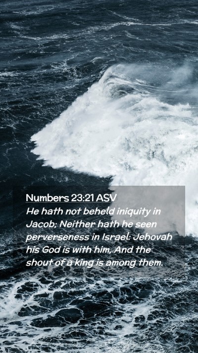 Picture 02 - Numbers 23:21 ASV Mobile Phone Wallpaper - He hath not beheld iniquity in Jacob; Neither - Mobile Bible Verse Wallpaper