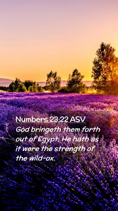 Picture 02 - Numbers 23:22 ASV Mobile Phone Wallpaper - God bringeth them forth out of Egypt; He hath as - Mobile Bible Verse Wallpaper
