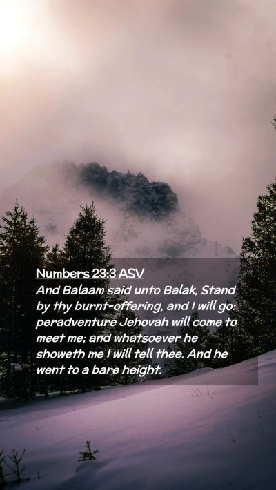 Picture 02 - Numbers 23:3 ASV Mobile Phone Wallpaper - And Balaam said unto Balak, Stand by thy - Mobile Bible Verse Wallpaper