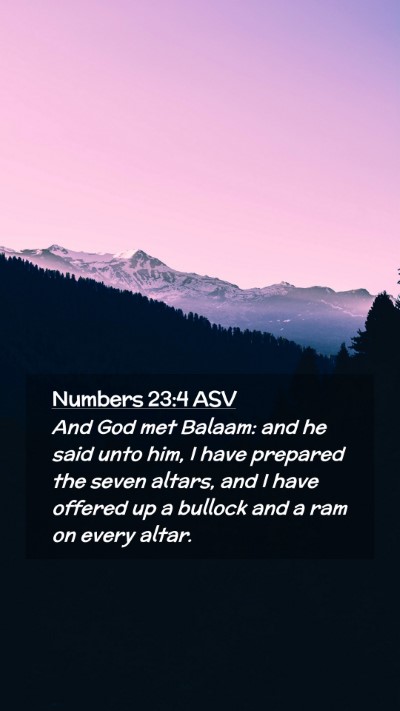 Picture 02 - Numbers 23:4 ASV Mobile Phone Wallpaper - And God met Balaam: and he said unto him, I have - Mobile Bible Verse Wallpaper