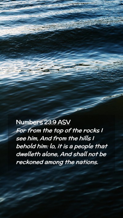 Picture 02 - Numbers 23:9 ASV Mobile Phone Wallpaper - For from the top of the rocks I see him, And from - Mobile Bible Verse Wallpaper