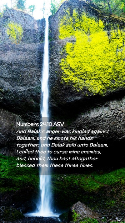Picture 02 - Numbers 24:10 ASV Mobile Phone Wallpaper - And Balak's anger was kindled against Balaam, and - Mobile Bible Verse Wallpaper