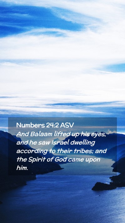 Picture 02 - Numbers 24:2 ASV Mobile Phone Wallpaper - And Balaam lifted up his eyes, and he saw Israel - Mobile Bible Verse Wallpaper
