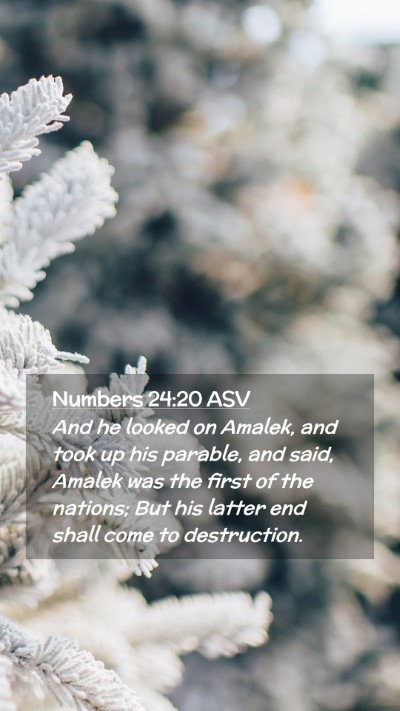 Picture 02 - Numbers 24:20 ASV Mobile Phone Wallpaper - And he looked on Amalek, and took up his parable, - Mobile Bible Verse Wallpaper