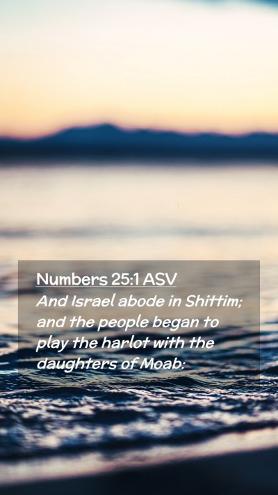 Picture 02 - Numbers 25:1 ASV Mobile Phone Wallpaper - And Israel abode in Shittim; and the people began - Mobile Bible Verse Wallpaper
