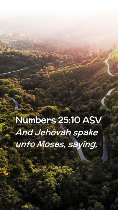 Picture 02 - Numbers 25:10 ASV Mobile Phone Wallpaper - And Jehovah spake unto Moses, - Mobile Bible Verse Wallpaper