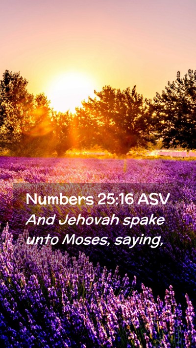 Picture 02 - Numbers 25:16 ASV Mobile Phone Wallpaper - And Jehovah spake unto Moses, - Mobile Bible Verse Wallpaper