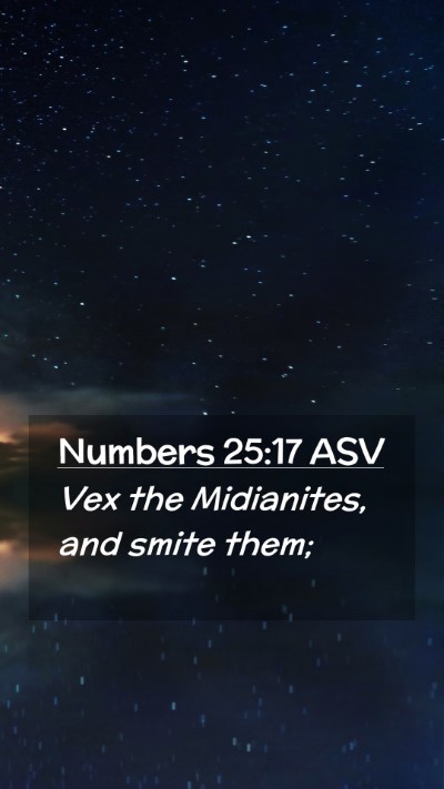 Picture 02 - Numbers 25:17 ASV Mobile Phone Wallpaper - Vex the Midianites, and smite - Mobile Bible Verse Wallpaper