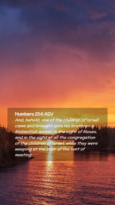 Picture 02 - Numbers 25:6 ASV Mobile Phone Wallpaper - And, behold, one of the children of Israel came - Mobile Bible Verse Wallpaper