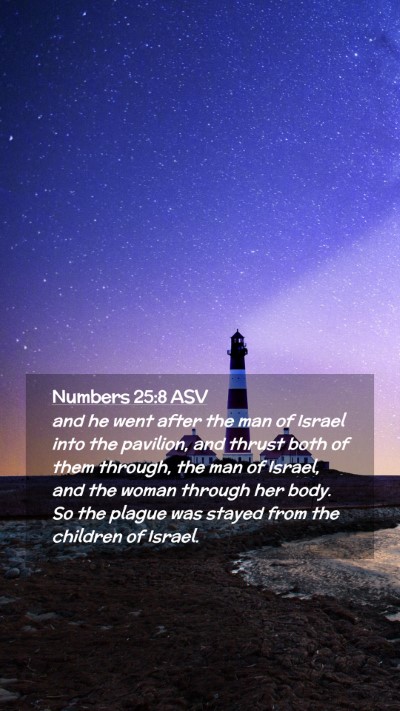 Picture 02 - Numbers 25:8 ASV Mobile Phone Wallpaper - and he went after the man of Israel into the - Mobile Bible Verse Wallpaper