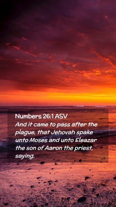 Picture 02 - Numbers 26:1 ASV Mobile Phone Wallpaper - And it came to pass after the plague, that - Mobile Bible Verse Wallpaper