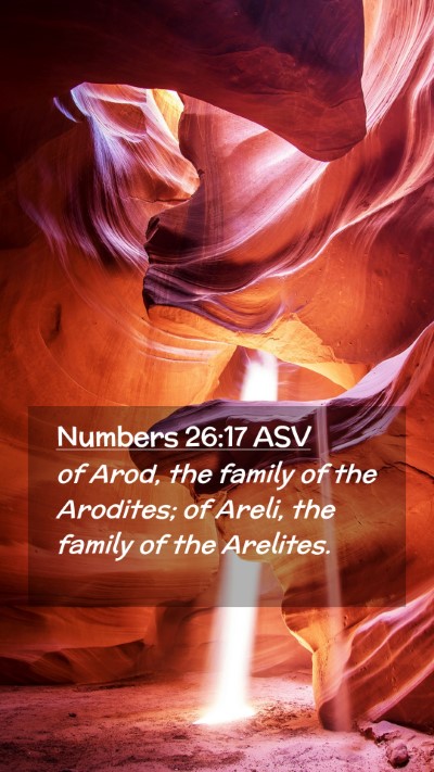 Picture 02 - Numbers 26:17 ASV Mobile Phone Wallpaper - of Arod, the family of the Arodites; of Areli, - Mobile Bible Verse Wallpaper