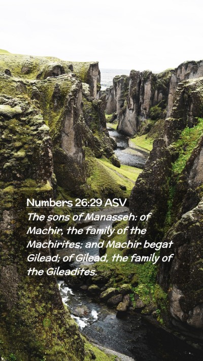 Picture 02 - Numbers 26:29 ASV Mobile Phone Wallpaper - The sons of Manasseh: of Machir, the family of - Mobile Bible Verse Wallpaper