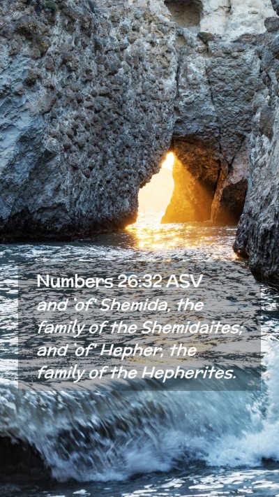 Picture 02 - Numbers 26:32 ASV Mobile Phone Wallpaper - and `of' Shemida, the family of the Shemidaites; - Mobile Bible Verse Wallpaper