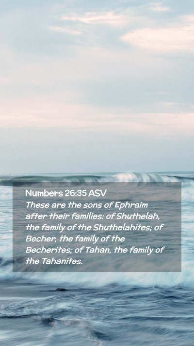Picture 02 - Numbers 26:35 ASV Mobile Phone Wallpaper - These are the sons of Ephraim after their - Mobile Bible Verse Wallpaper