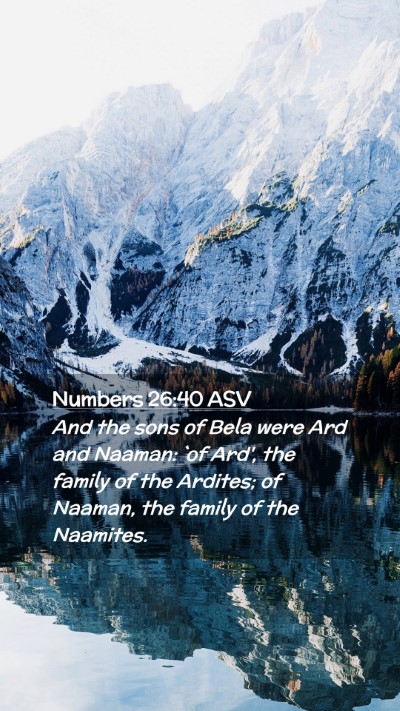 Picture 02 - Numbers 26:40 ASV Mobile Phone Wallpaper - And the sons of Bela were Ard and Naaman: `of - Mobile Bible Verse Wallpaper