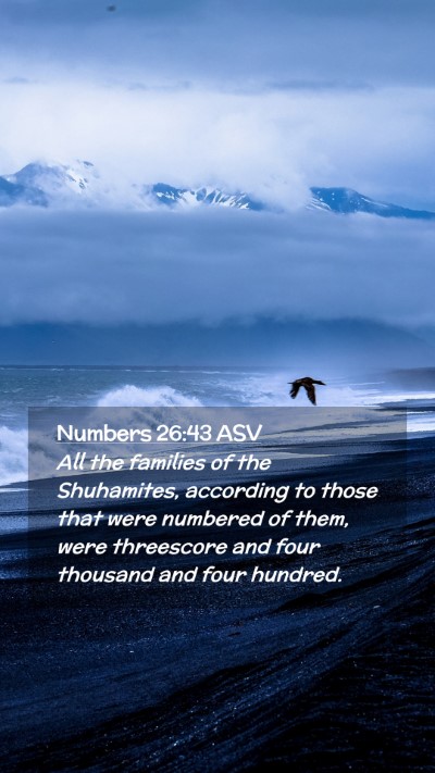 Picture 02 - Numbers 26:43 ASV Mobile Phone Wallpaper - All the families of the Shuhamites, according to - Mobile Bible Verse Wallpaper