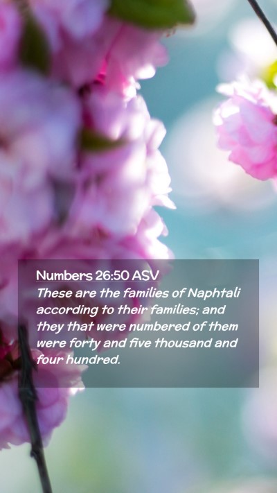 Picture 02 - Numbers 26:50 ASV Mobile Phone Wallpaper - These are the families of Naphtali according to - Mobile Bible Verse Wallpaper