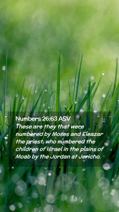 Picture 02 - Numbers 26:63 ASV Mobile Phone Wallpaper - These are they that were numbered by Moses and - Mobile Bible Verse Wallpaper