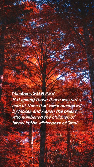 Picture 02 - Numbers 26:64 ASV Mobile Phone Wallpaper - But among these there was not a man of them that - Mobile Bible Verse Wallpaper