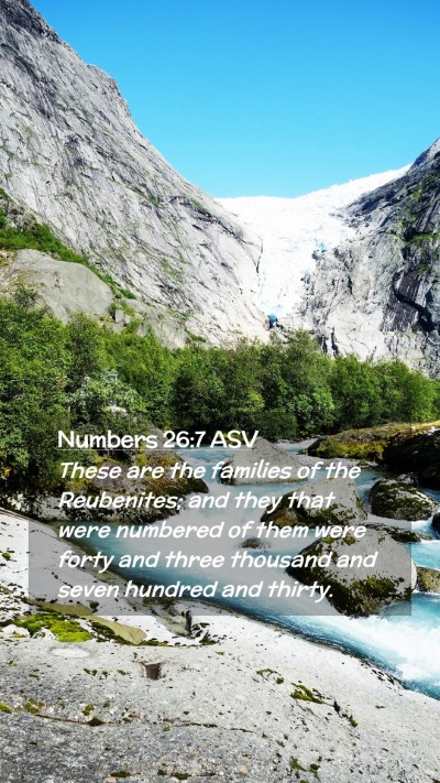 Picture 02 - Numbers 26:7 ASV Mobile Phone Wallpaper - These are the families of the Reubenites; and - Mobile Bible Verse Wallpaper