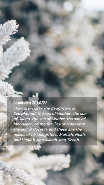 Picture 02 - Numbers 27:1 ASV Mobile Phone Wallpaper - Then drew near the daughters of Zelophehad, the - Mobile Bible Verse Wallpaper