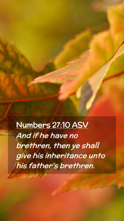 Picture 02 - Numbers 27:10 ASV Mobile Phone Wallpaper - And if he have no brethren, then ye shall give - Mobile Bible Verse Wallpaper