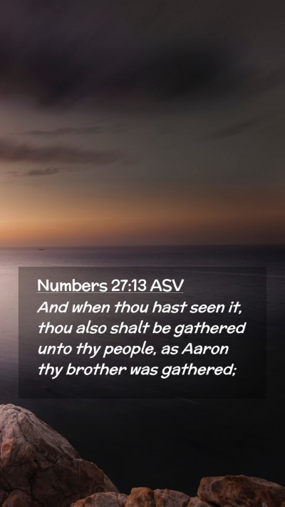 Picture 02 - Numbers 27:13 ASV Mobile Phone Wallpaper - And when thou hast seen it, thou also shalt be - Mobile Bible Verse Wallpaper