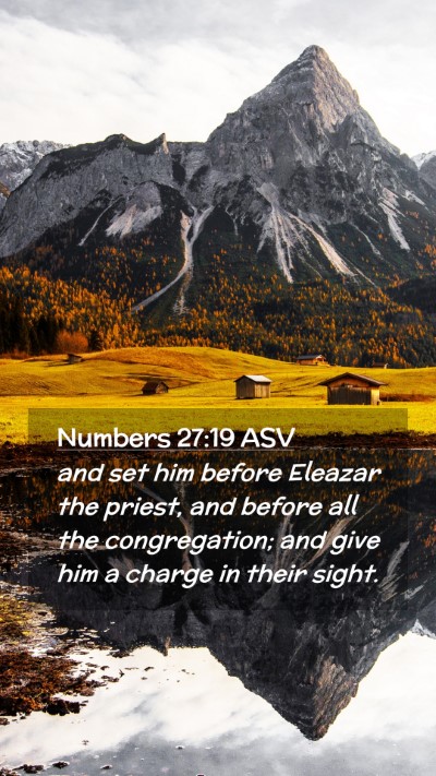 Picture 02 - Numbers 27:19 ASV Mobile Phone Wallpaper - and set him before Eleazar the priest, and before - Mobile Bible Verse Wallpaper
