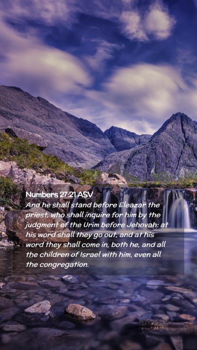Picture 02 - Numbers 27:21 ASV Mobile Phone Wallpaper - And he shall stand before Eleazar the priest, who - Mobile Bible Verse Wallpaper