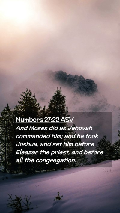 Picture 02 - Numbers 27:22 ASV Mobile Phone Wallpaper - And Moses did as Jehovah commanded him; and he - Mobile Bible Verse Wallpaper