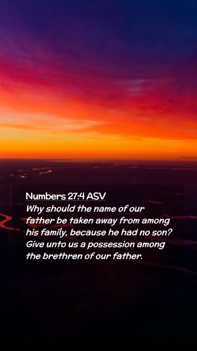 Picture 02 - Numbers 27:4 ASV Mobile Phone Wallpaper - Why should the name of our father be taken away - Mobile Bible Verse Wallpaper