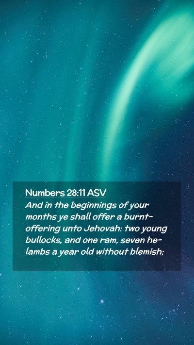 Picture 02 - Numbers 28:11 ASV Mobile Phone Wallpaper - And in the beginnings of your months ye shall - Mobile Bible Verse Wallpaper
