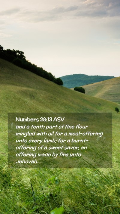 Picture 02 - Numbers 28:13 ASV Mobile Phone Wallpaper - and a tenth part of fine flour mingled with oil - Mobile Bible Verse Wallpaper