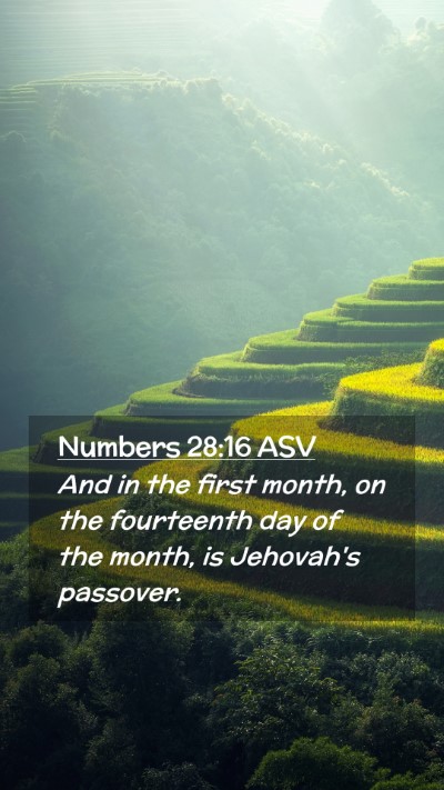 Picture 02 - Numbers 28:16 ASV Mobile Phone Wallpaper - And in the first month, on the fourteenth day of - Mobile Bible Verse Wallpaper