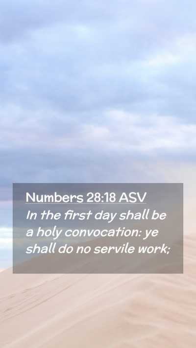 Picture 02 - Numbers 28:18 ASV Mobile Phone Wallpaper - In the first day shall be a holy convocation: ye - Mobile Bible Verse Wallpaper
