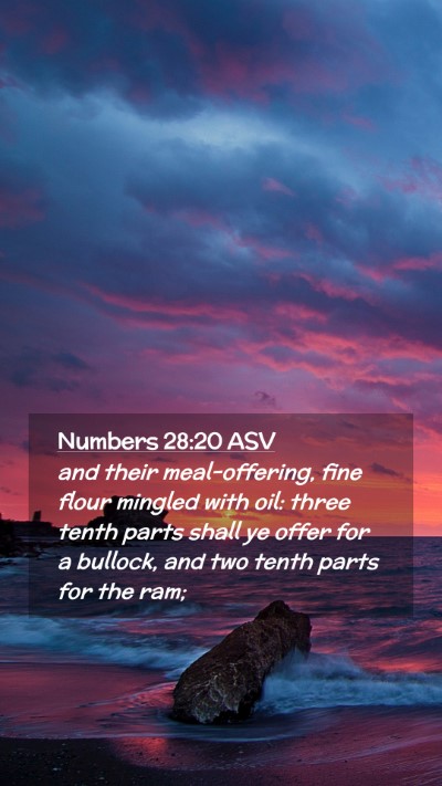 Picture 02 - Numbers 28:20 ASV Mobile Phone Wallpaper - and their meal-offering, fine flour mingled with - Mobile Bible Verse Wallpaper