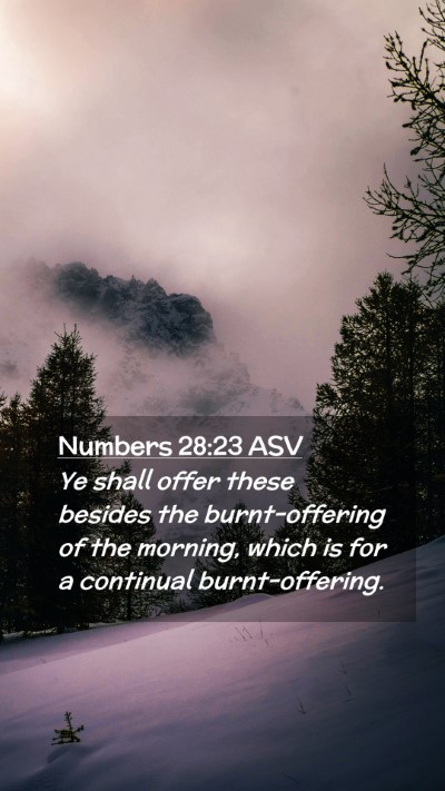 Picture 02 - Numbers 28:23 ASV Mobile Phone Wallpaper - Ye shall offer these besides the burnt-offering - Mobile Bible Verse Wallpaper