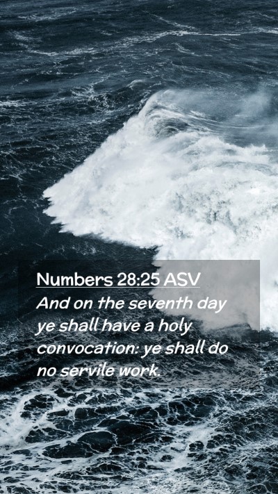 Picture 02 - Numbers 28:25 ASV Mobile Phone Wallpaper - And on the seventh day ye shall have a holy - Mobile Bible Verse Wallpaper