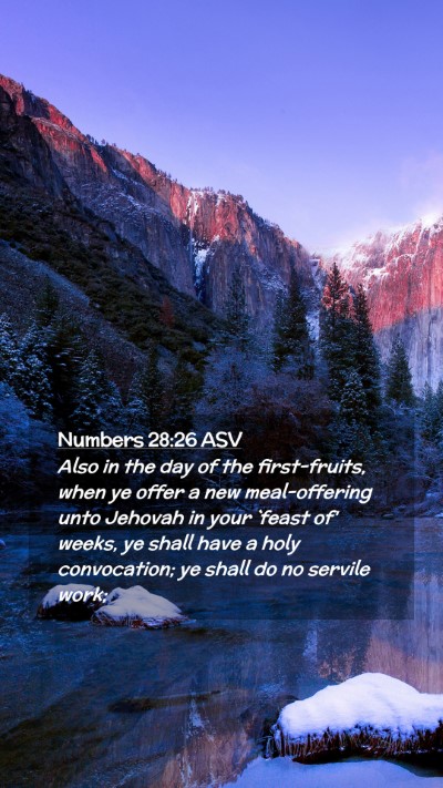 Picture 02 - Numbers 28:26 ASV Mobile Phone Wallpaper - Also in the day of the first-fruits, when ye - Mobile Bible Verse Wallpaper