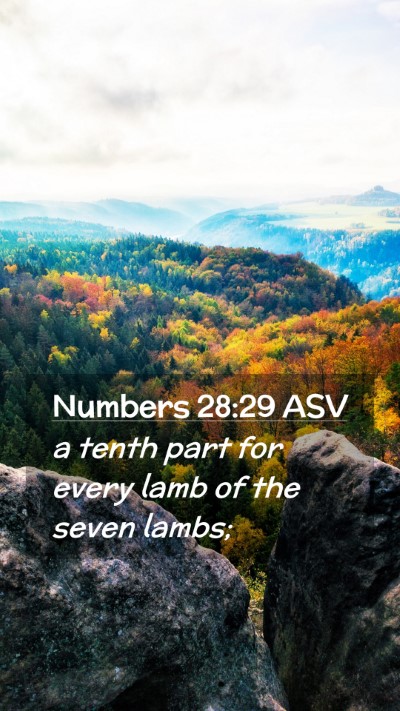 Picture 02 - Numbers 28:29 ASV Mobile Phone Wallpaper - a tenth part for every lamb of the seven - Mobile Bible Verse Wallpaper