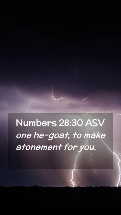 Picture 02 - Numbers 28:30 ASV Mobile Phone Wallpaper - one he-goat, to make atonement for - Mobile Bible Verse Wallpaper