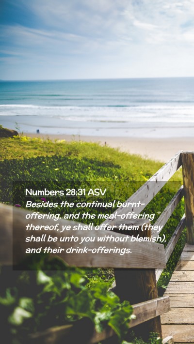 Picture 02 - Numbers 28:31 ASV Mobile Phone Wallpaper - Besides the continual burnt-offering, and the - Mobile Bible Verse Wallpaper