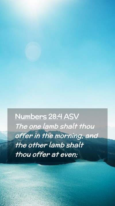 Picture 02 - Numbers 28:4 ASV Mobile Phone Wallpaper - The one lamb shalt thou offer in the morning, and - Mobile Bible Verse Wallpaper