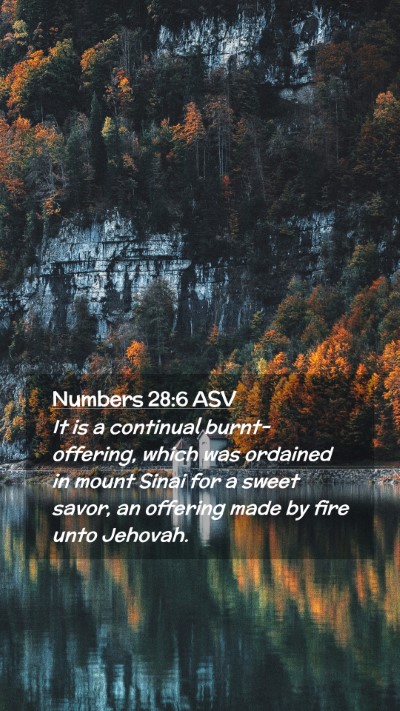 Picture 02 - Numbers 28:6 ASV Mobile Phone Wallpaper - It is a continual burnt-offering, which was - Mobile Bible Verse Wallpaper