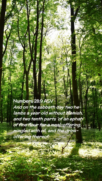 Picture 02 - Numbers 28:9 ASV Mobile Phone Wallpaper - And on the sabbath day two he-lambs a year old - Mobile Bible Verse Wallpaper