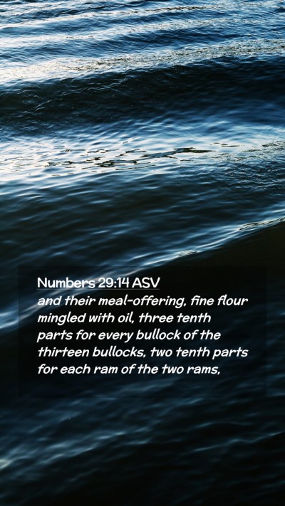 Picture 02 - Numbers 29:14 ASV Mobile Phone Wallpaper - and their meal-offering, fine flour mingled with - Mobile Bible Verse Wallpaper